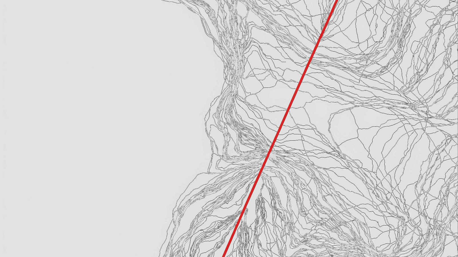 Enchevêtrement dense de filaments blancs traversé par une unique ligne rouge rectiligne.
